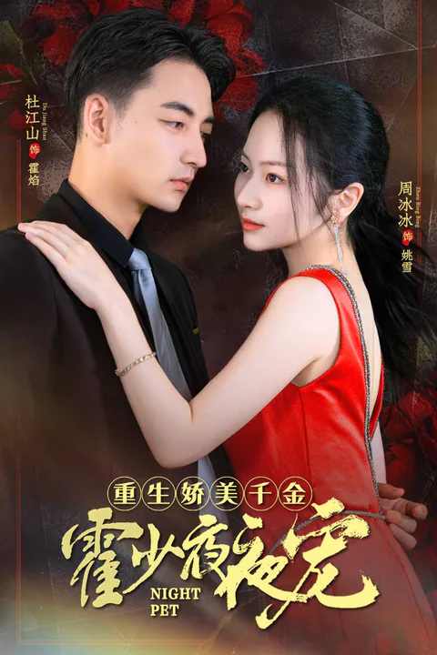 《重生嬌妻霍少夜夜寵》海報