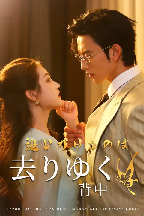 追いかけたのは 去りゆく背中のポスター