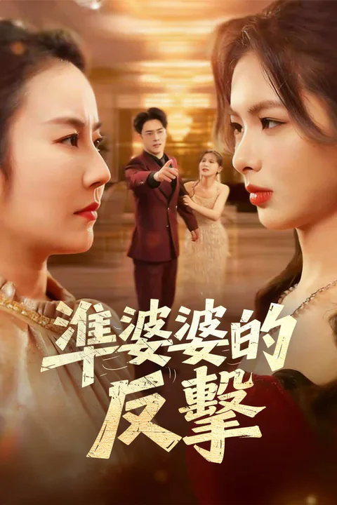 《準婆婆的反擊》海報