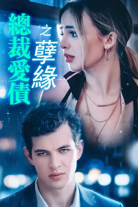《總裁愛債之孽緣》海報