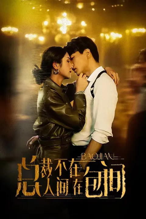 《总裁不在人间在包间》海报