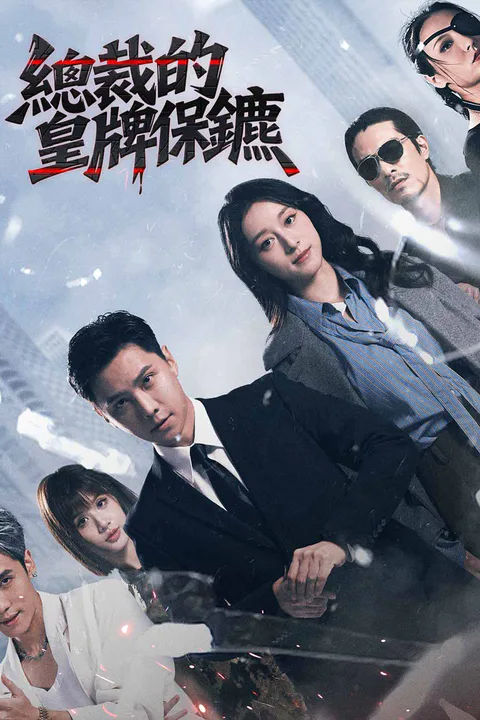 《總裁的皇牌保鑣》海報