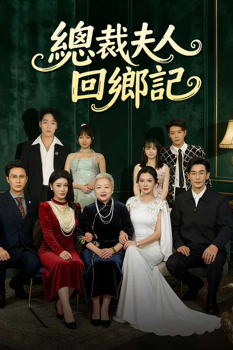 《總裁夫人回鄉記》海報