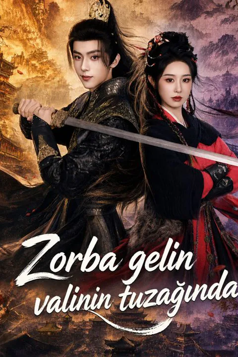 Zorba gelin valinin tuzağında afişi