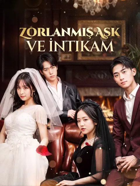 Zorlanmış Aşk ve İntikam afişi