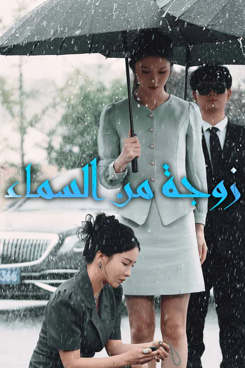 ملصق زوجة من السماء