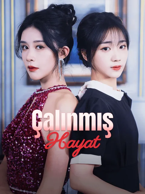 Çalınmış Hayat afişi