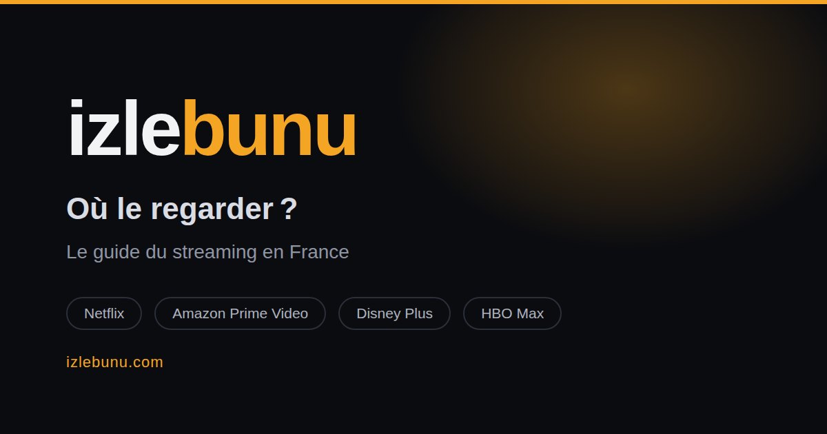 Films et séries d’animation : où les regarder ? | izlebunu
